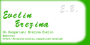 evelin brezina business card